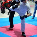 Kickboxen - Wettkampf